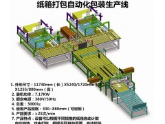 纸箱自动化包装流水线设备包装生产线定制